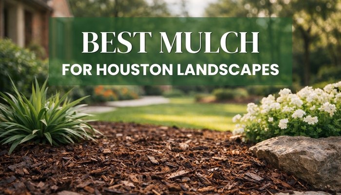 Best mulch for Houston landscapes showing hardwood mulch in a garden bed with flowers and greenery in a residential yard