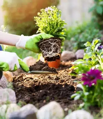 Seasonal flower installation