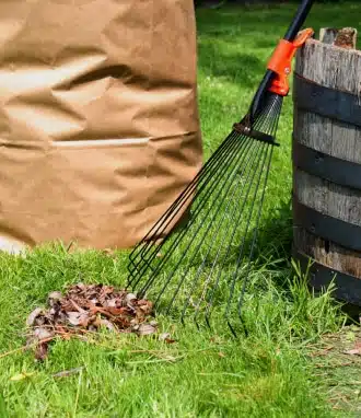 Weeding, trimming, and debris removal