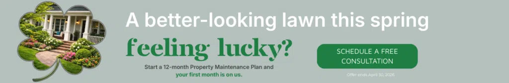 St. Patrick’s promotion banner showing a landscaped home with text “A better-looking lawn this spring — feeling lucky? Schedule a free consultation.”